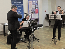 ART TRIO Botosani